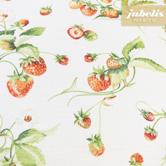 Beschichtete Baumwolle abwaschbar Claudia III 